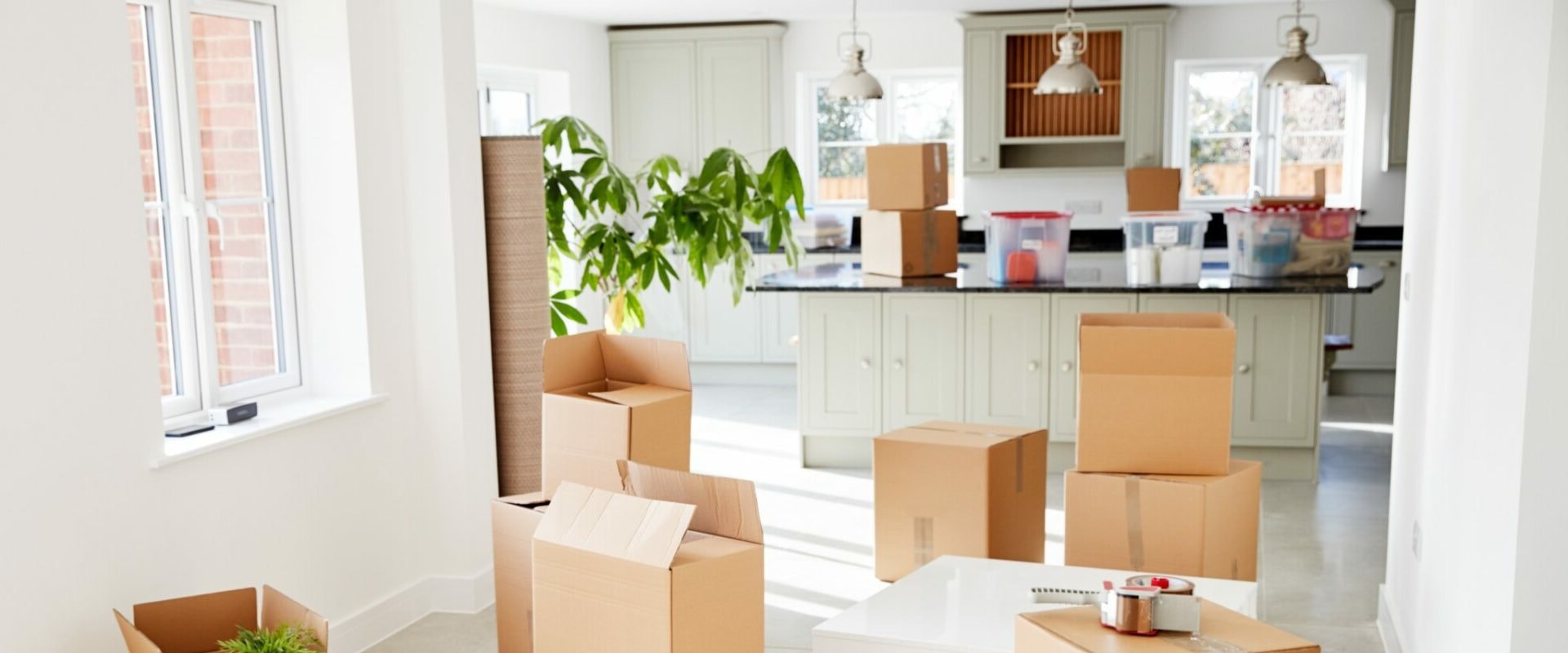 Expert Tips for Finding the Perfect Moving Quotes